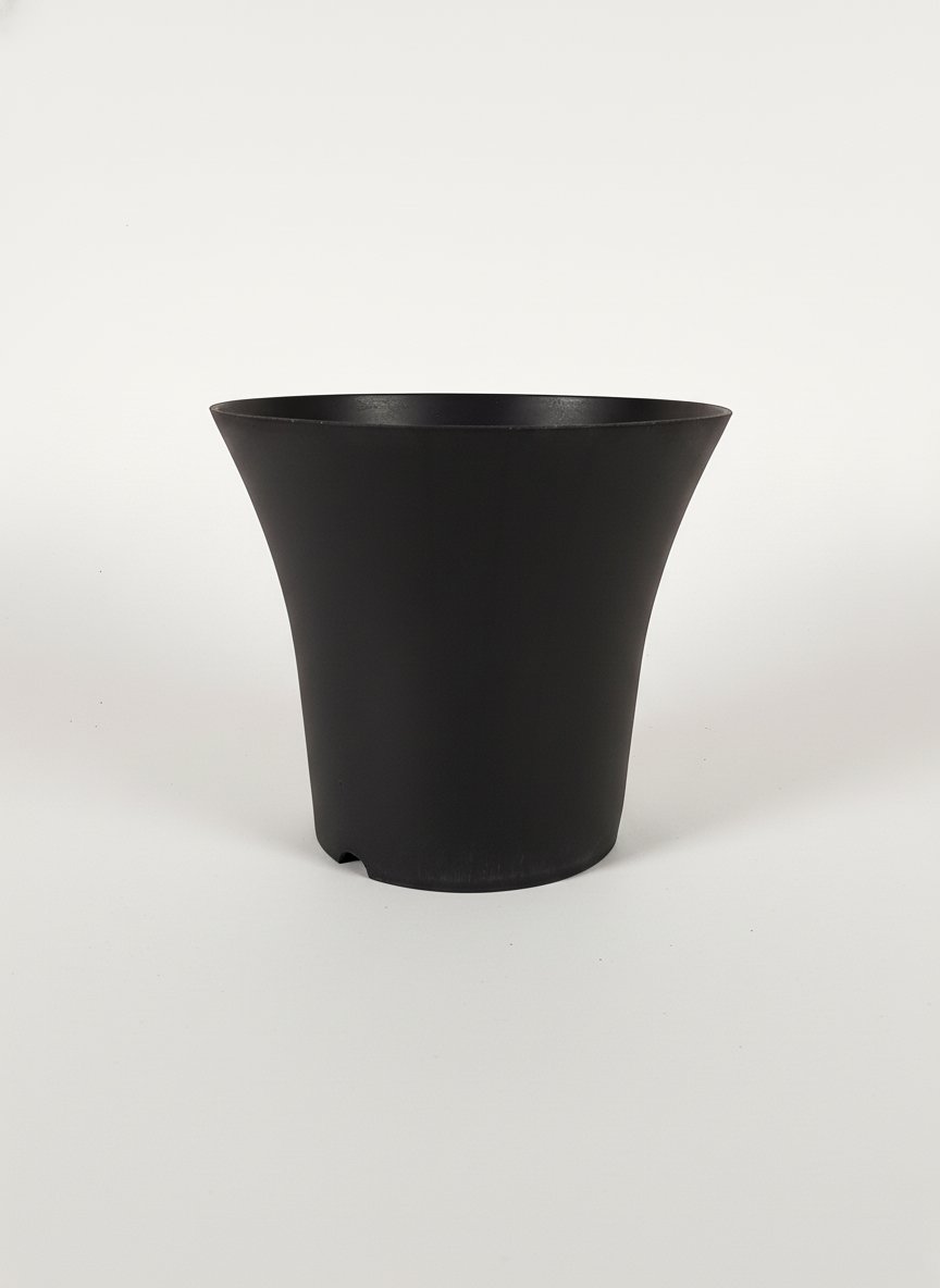 Tee Pot 2